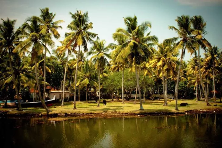 Cultural Tours Of Kerala: Enjoy An Amazing Tour Experience Of South Indian Culture
