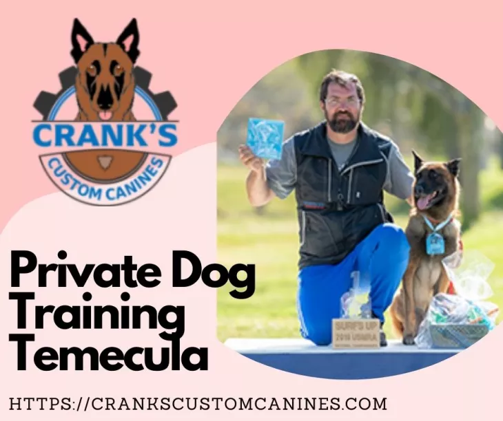 Private Dog Training Temecula