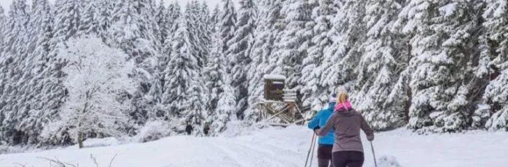 Jammu And Kashmir Trip: Best Time To Visit Kashmir To Enjoy Snowfall
