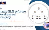 Binary MLM software Development Company