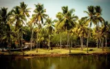Cultural Tours Of Kerala: Enjoy An Amazing Tour Experience Of South Indian Culture