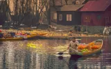 Best Srinagar Tour Planning Tips To Enjoy An Unforgettable Tour To Paradise On Earth