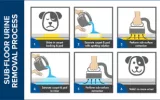 Pet Urine Stain and Odor Removal in Toronto