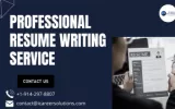  professional-resume-writing-service